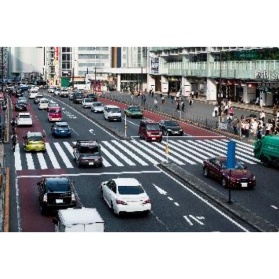 TS5511-GH DualVision TrafficX Enforcement Camera For Red Light Violation Detection